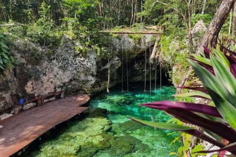 Explore Kaan Luum Lagoon and Two Cenotes — photo 3