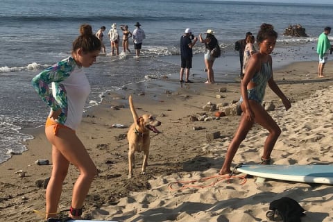Surf Lesson for Beginners in Sayulita & Punta de Mita — photo 13