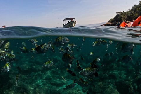 Puerto Vallarta: tour de snorkel con peces tropicales y tirolesa — photo 10