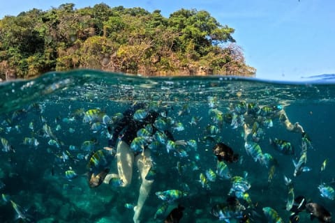 Puerto Vallarta: tour de snorkel con peces tropicales y tirolesa — photo 8