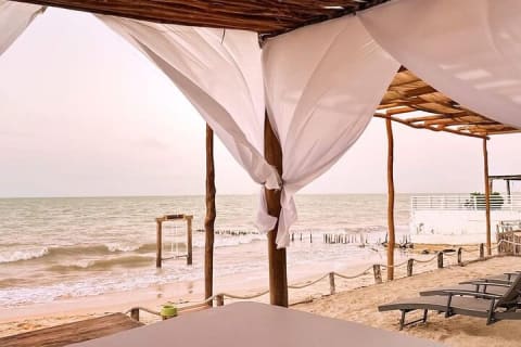 Beach Tour in Yucalpetén from Mérida — photo 7