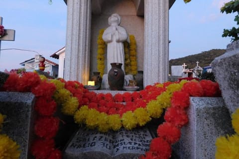 Recorrido a pie por el cementerio en Día de Muertos en Puerto Vallarta — photo 10