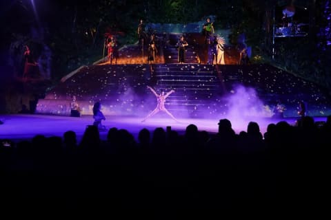Puerto Vallarta Rhythms of the Night : dîner gastronomique et spectacle Alma — photo 15