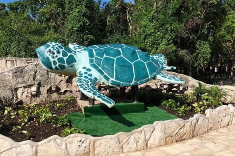 Tickets to 4 cenotes turtle house 2 caverns and 2 outdoors — photo 7