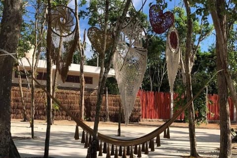 Tickets to 4 cenotes turtle house 2 caverns and 2 outdoors — photo 8