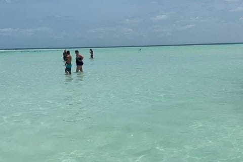 Eco Classic Tour Holbox — photo 15