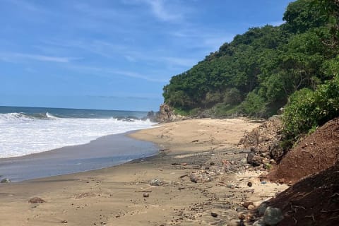 Sayulita to Camino al Buddha : 12 km Biocultural Hiking Experience — photo 5
