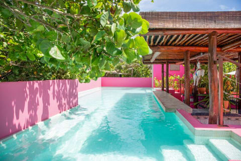 La Zebra Beach Club Experience in Tulum — photo 2