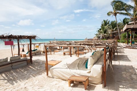 La Zebra Beach Club Experience in Tulum — photo 1