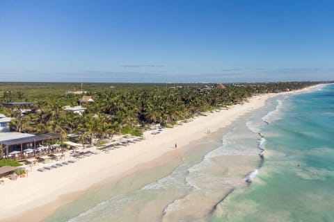 La Zebra Beach Club Experience in Tulum — photo 4