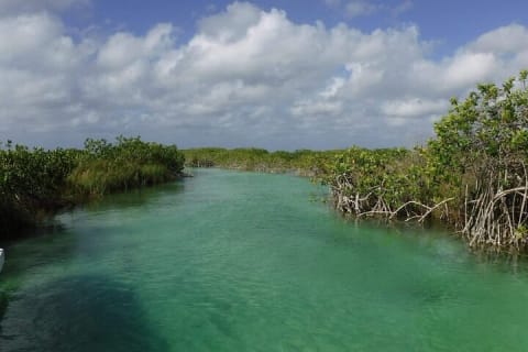 Sian Ka'an Tour (Private, Half Day) — photo 1
