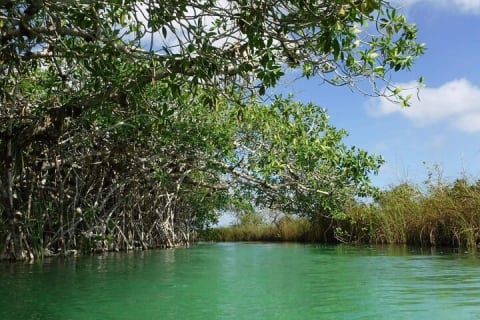 Sian Ka'an Tour (Private, Half Day) — photo 4