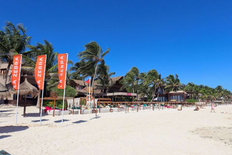 La Zebra Beach Club Experience in Tulum — photo 5