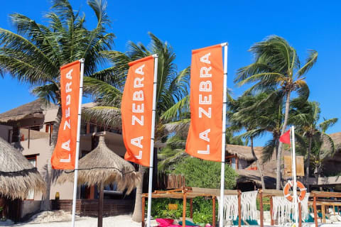 La Zebra Beach Club Experience in Tulum — photo 6