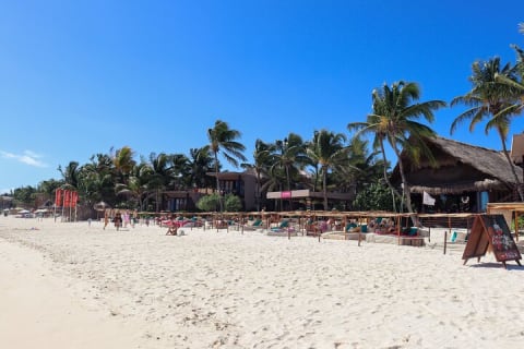 La Zebra Beach Club Experience in Tulum — photo 7