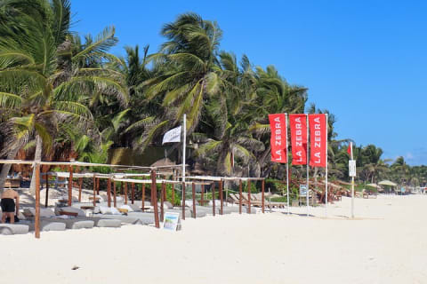 La Zebra Beach Club Experience in Tulum — photo 8