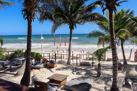 La Zebra Beach Club Experience in Tulum — photo 9