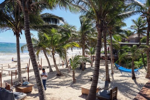 La Zebra Beach Club Experience in Tulum — photo 10