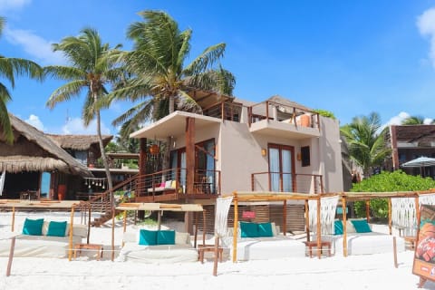 La Zebra Beach Club Experience in Tulum — photo 11