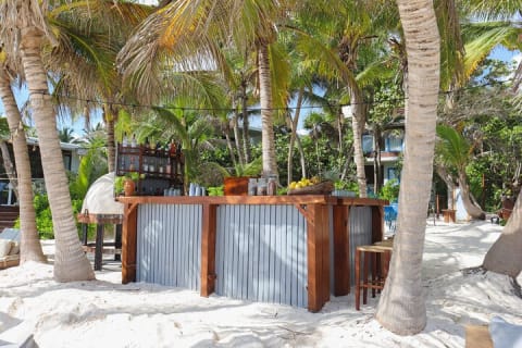 La Zebra Beach Club Experience in Tulum — photo 13