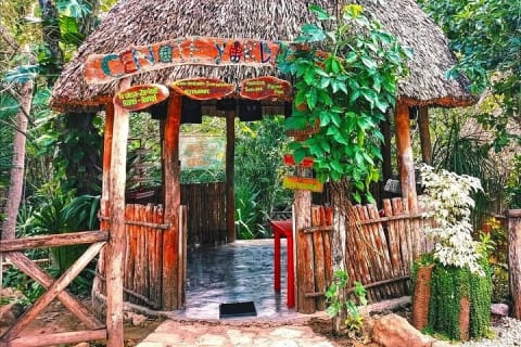 Coba and Cenote Private Day Trip from Tulum — photo 4