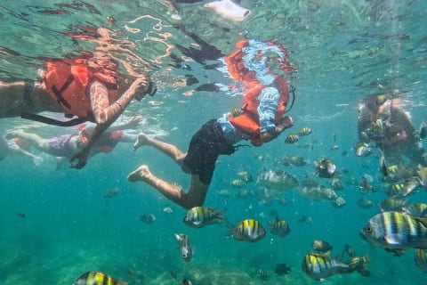 Aventure locale de snorkeling à Majahuitas et journée détente sur la plage — photo 6