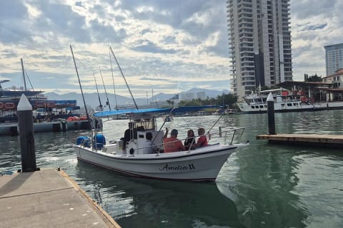 Excursion privée de 3 heures d'observation des baleines — photo 13