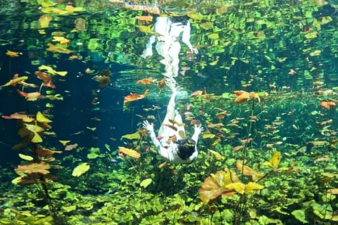 Cenotes Photos Shoot — photo 11