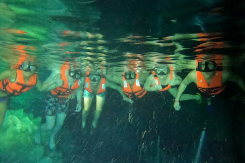 Private Tour Swim with Turtles, 2 Cenotes & Gopro — photo 12