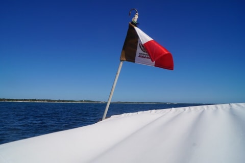 Tulum High Seas Fishing — photo 14