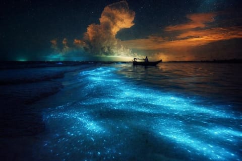 Sunset Boat Tour & Bioluminescence Adventure at Los Arcos Islands — photo 4