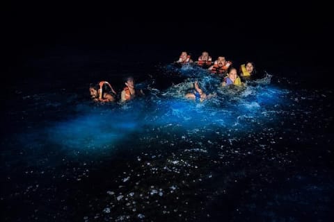 Sunset Boat Tour & Bioluminescence Adventure at Los Arcos Islands — photo 7