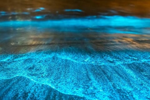 Sunset Boat Tour & Bioluminescence Adventure at Los Arcos Islands — photo 13