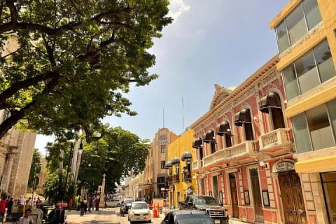 Merida Bike Experience — photo 3