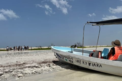 Tulum & Akumal with Sea Turtles + Las Coloradas 2-Day Tour — photo 14