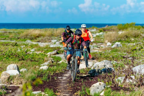 Jungle Off Road Bike Tour by Cenotes and Coastline — photo 1
