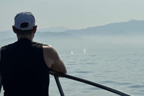 Observación de ballenas con biólogo a bordo — photo 4