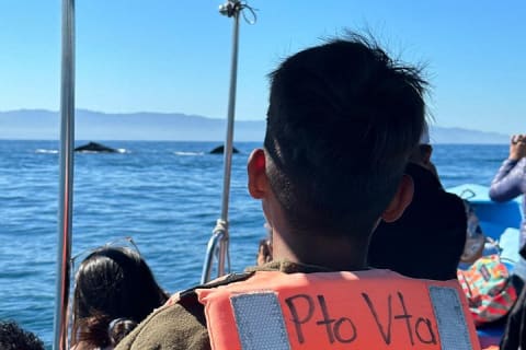 Observación de ballenas con biólogo a bordo — photo 9