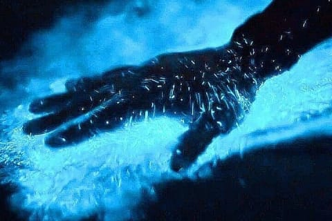 Bioluminescence et coucher de soleil en bateau vers Los Arcos de Mismaloya — photo 6