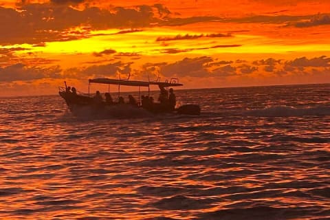 Bioluminescence et coucher de soleil en bateau vers Los Arcos de Mismaloya — photo 13