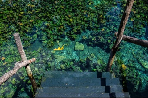 Private Tulum Ruins Expedition with Cenote — photo 5