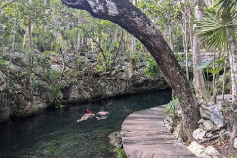 Tulum Private Cenotes Trio - Open, Semi Open and Cave experience — photo 1
