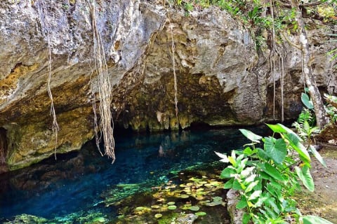 Cenote 2 Ojos and Grand Cenote with Tulum Ruins Guided Tour — photo 12