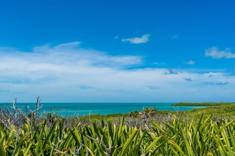 Excursion à Isla Contoy : paradis intact et journée de plage — photo 7