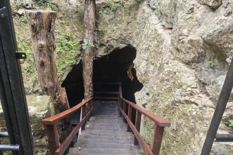 ATVS and Ziplines in Tulum with Kayaks and Cenotes in Jungle — photo 13
