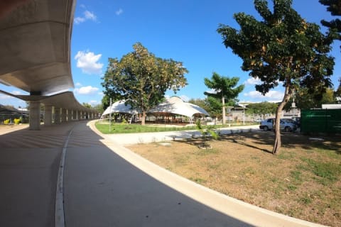 Mérida en trottinette électrique : Paseo de Montejo et parc La Plancha — photo 9