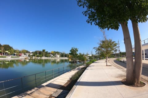 Mérida en trottinette électrique : Paseo de Montejo et parc La Plancha — photo 14
