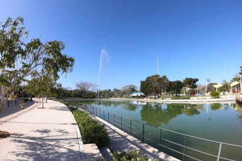 Mérida en trottinette électrique : Paseo de Montejo et parc La Plancha — photo 15