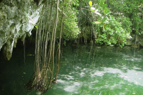 Tulum Private Day Trip with Car and Walk — photo 10