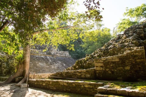 Coba Safari Experience — photo 1